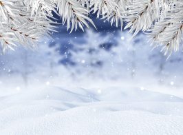 3d Winter Landscape With Christmas Tree Branches 1048 11507