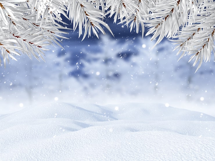 3d Winter Landscape With Christmas Tree Branches 1048 11507