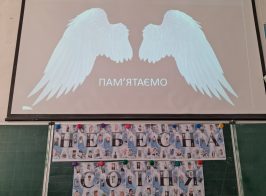 Img 8e1002fbf1484c29f16a75feadae5a60 V