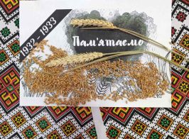 Img 5e5f47396fc16c3f988b73a5743abde4 V